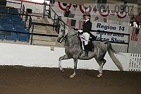 r14-04_0907 proof