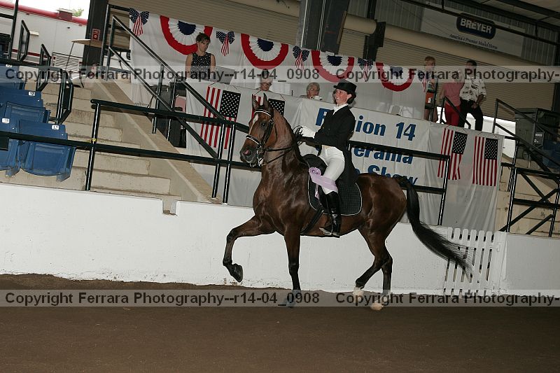 Proof r14-04_0908