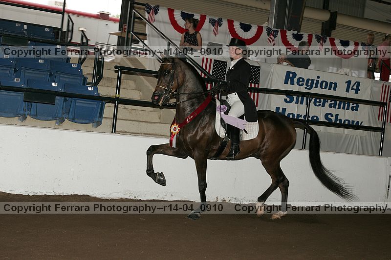 Proof r14-04_0910