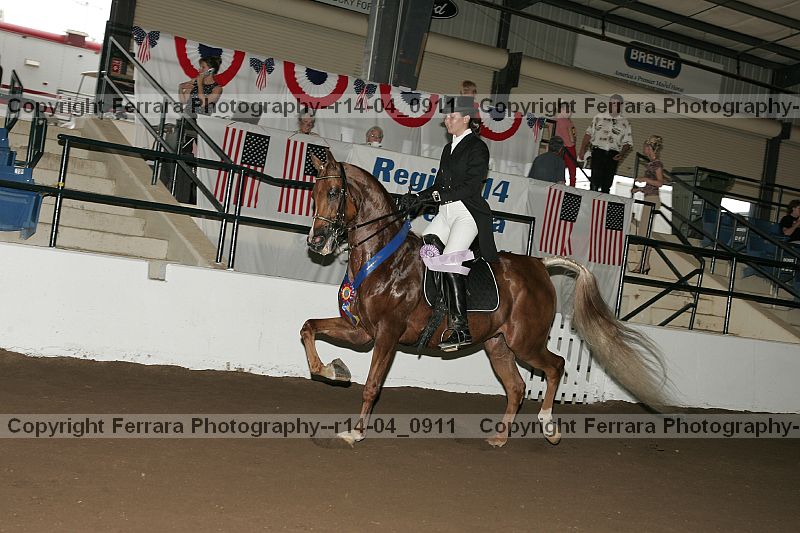 Proof r14-04_0911