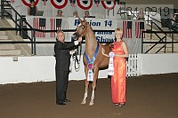 r14-04_0919 proof