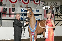 r14-04_0921 proof