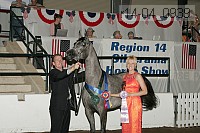 r14-04_0939 proof