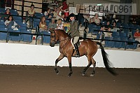 r14-04_0961 proof