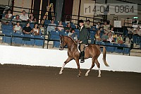 r14-04_0964 proof