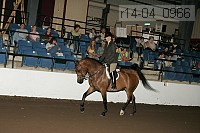 r14-04_0966 proof