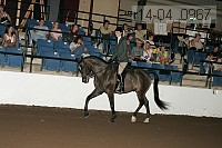 r14-04_0967 proof