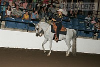 r14-04_0975 proof