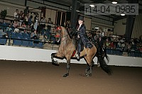 r14-04_0985 proof
