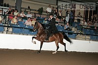 r14-04_0986 proof
