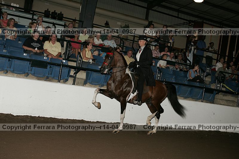 Proof r14-04_0987