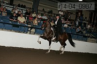 r14-04_0987 proof