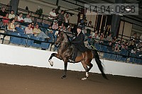 r14-04_0988 proof