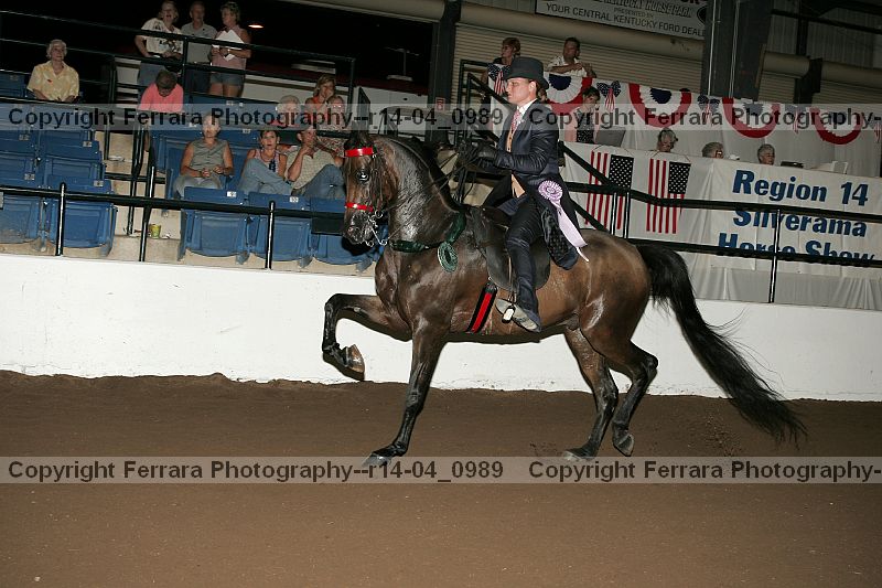 Proof r14-04_0989