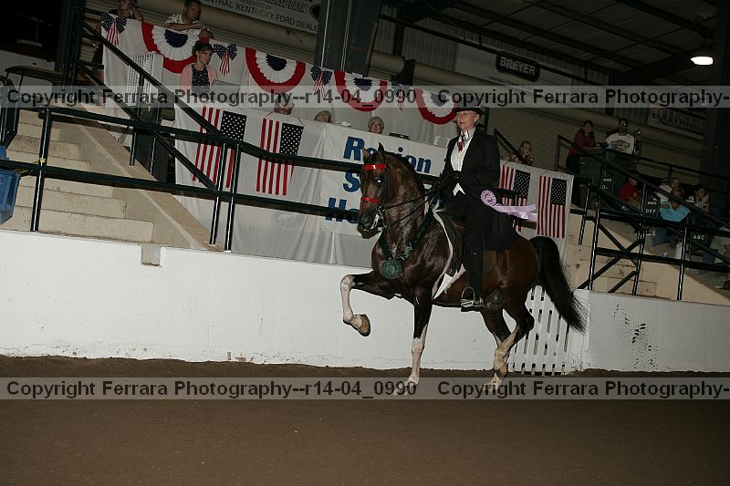 Proof r14-04_0990