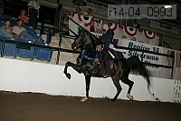 r14-04_0993 proof