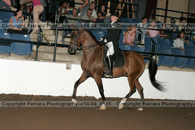 Proof r14-04_0995