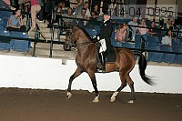 r14-04_0995 proof