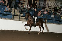 r14-04_0996 proof