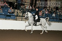 r14-04_0999 proof