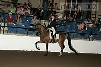 r14-04_1002 proof