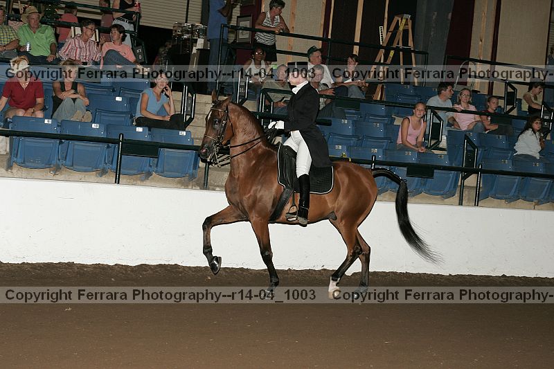Proof r14-04_1003