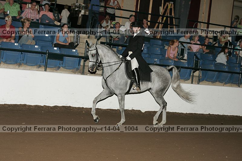 Proof r14-04_1004