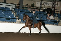 r14-04_1054 proof