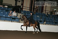 r14-04_1056 proof