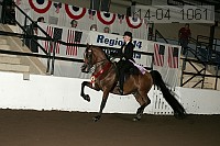 r14-04_1061 proof