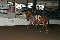 r14-04_1083 proof