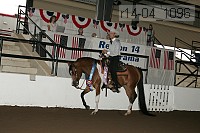 r14-04_1096 proof