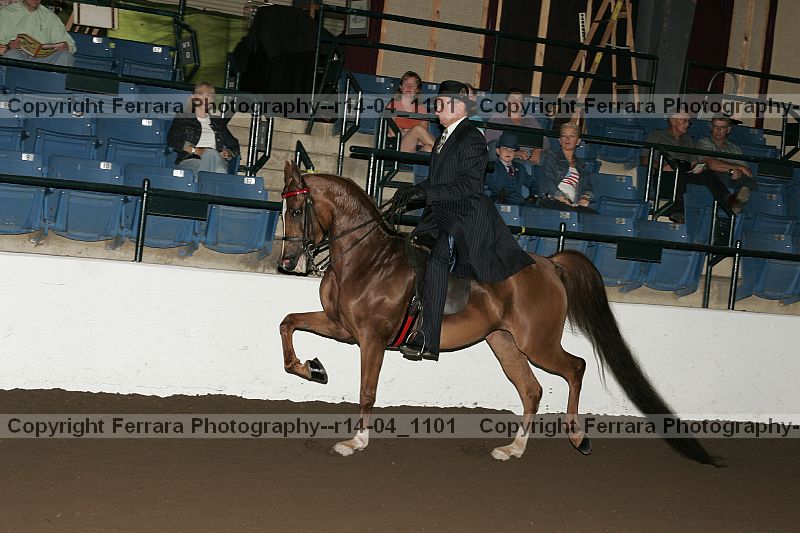 Proof r14-04_1101