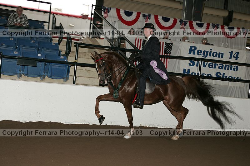 Proof r14-04_1103