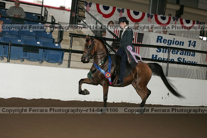 Proof r14-04_1106