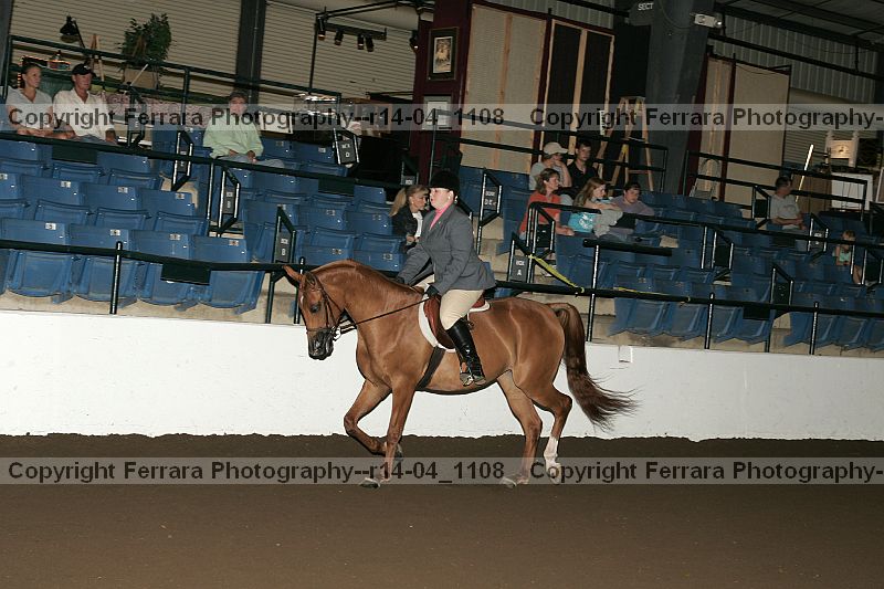 Proof r14-04_1108