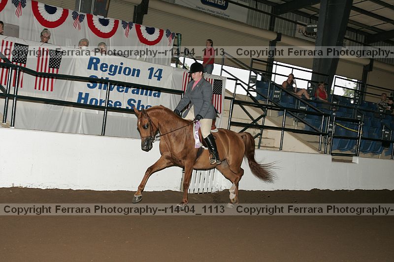 Proof r14-04_1113