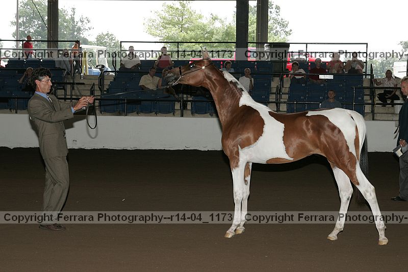 Proof r14-04_1173