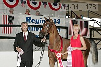 r14-04_1178 proof