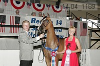r14-04_1189 proof
