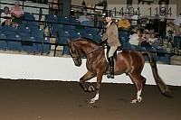 r14-04_1194 proof
