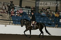 r14-04_1195 proof