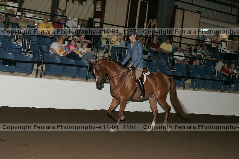 Proof r14-04_1197