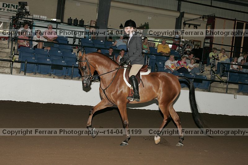 Proof r14-04_1199