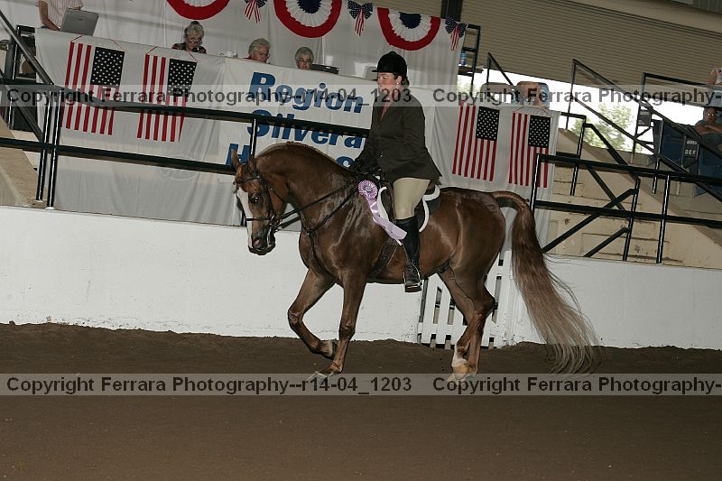 Proof r14-04_1203