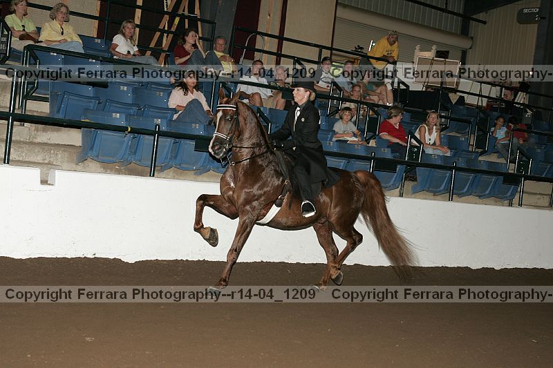 Proof r14-04_1209
