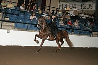 r14-04_1209 proof