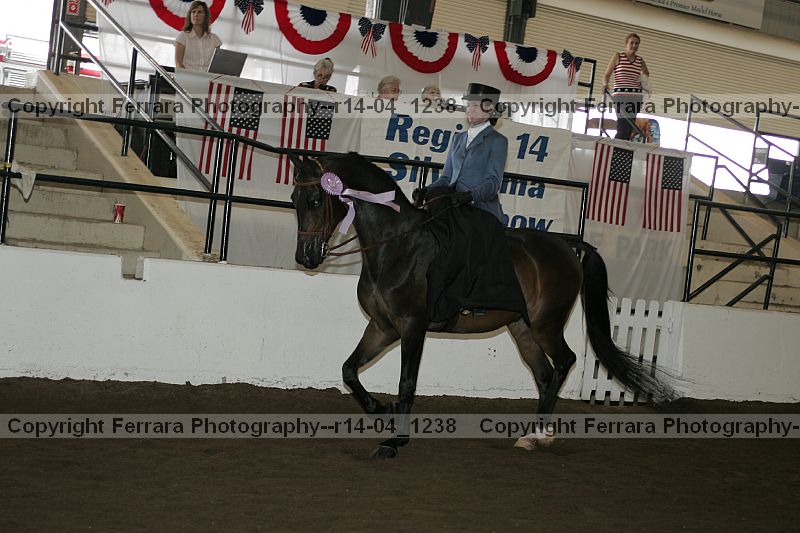 Proof r14-04_1238