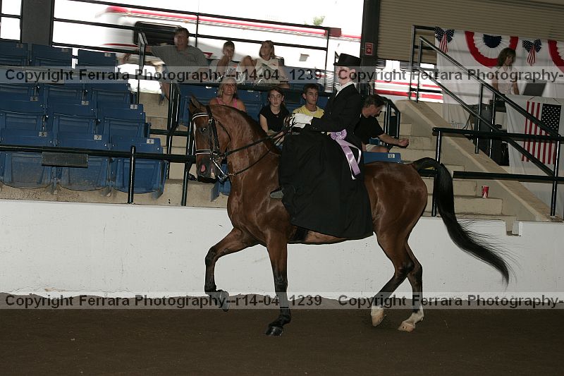 Proof r14-04_1239