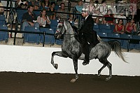 r14-04_1243 proof